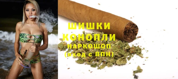 гидра Белоозёрский